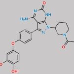 Ibrutinib Impurity 48 CAS#: 1288338-98-6