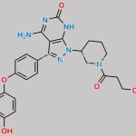 Ibrutinib Impurity 52 CAS#: 1288339-01-4