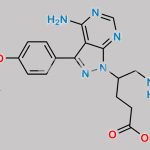 Ibrutinib Impurity 53 CAS#: 1288339-02-5