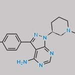 Ibrutinib Impurity 57 CAS#: 1288339-05-8