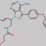 Ibrutinib Impurity 66 CAS#: 1288339-14-9