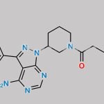 Ibrutinib Impurity 68 CAS#: 1288339-16-1