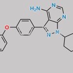 Ibrutinib Impurity 69 CAS#: 1288339-17-2