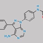 Ibrutinib Impurity 70 CAS#: 2142634-18-0