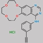Icotinib Hydrochloride CAS#: 1204313-51-8