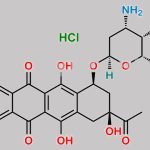 Idarubicin Hydrochloride CAS#: 57852-57-0