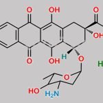 Idarubicin Impurity 3 CAS#: N/A
