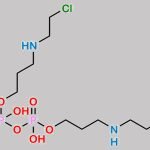 Ifosfamide EP Impurity B CAS#: 241482-18-8
