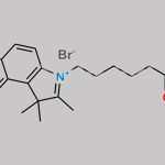 Indocyanine Green Impurity 2 CAS#: 171429-39-3