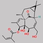 Ingenol 3-Angelate CAS#: 75567-37-2