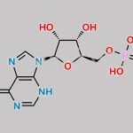 Inosinic acid CAS#: 131-99-7