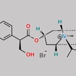 Ipratropium Bromide Hydrate CAS#: 66985-17-9