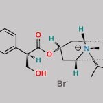 Ipratropium EP Impurity B CAS#: 58073-59-9