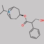 Ipratropium EP Impurity E CAS#: 22235-81-0
