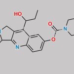 Irinotecan EP Impurity K CAS#: 2508174-07-8