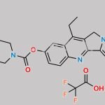 Irinotecan EP Impurity L CAS#: N/A