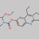 Irinotecan Impurity D CAS#: N/A