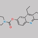 Irinotecan Lactone Impurity CAS#: N/A