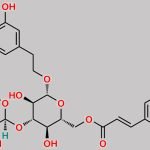 Isoacteoside CAS#: 61303-13-7