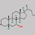Isochenodeoxycholic Acid CAS#: 566-24-5