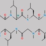 Isocyclosporin H CAS#: 83602-43-1