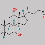 Isodeoxycholic Acid CAS#: 566-17-6