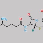 Isopenicillin N CAS#: 58678-43-6