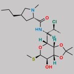 Isopropylidene Clindamycin CAS#: 147650-54-2