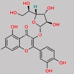 Isoquercitroside CAS#: 21637-25-2