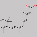 Isotretinoin EP Impurity D CAS#: 5300-03-8