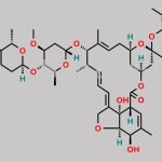 Ivermectin EP Impurity B CAS#: 65195-56-4