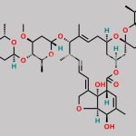 Ivermectin EP Impurity C CAS#: 65195-57-5