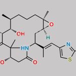 Ixabepilone CAS#: 219989-84-1