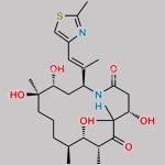 Ixabepilone Impurity 1 CAS#: 1220999-09-6