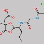 Ixazomib Citrate CAS#: 1239908-20-3