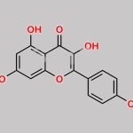 Kaempferol CAS#: 520-18-3