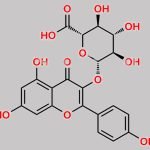 Kaempferol-3-Glucuronide CAS#: 22688-78-4
