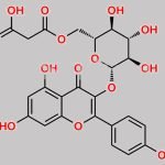 Kaempferol-3-O-(6-Malonyl-Glucoside) CAS#: 81149-02-2
