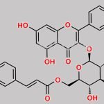 Kaempferol-3-O-(6''-O-p-Coumaroyl)Glucoside CAS#: 20316-62-5