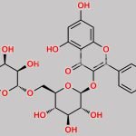 Kaempferol-3-O-Beta-Rutinoside CAS#: 17650-84-9