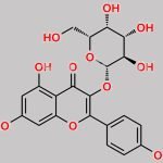 Kaempferol 3-O-Galactoside CAS#: 23627-87-4