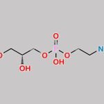 L-Alpha-Glycerophosphorylethanolamine CAS#: 33049-08-0