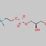 L-alpha-Glycerylphosphorylcholine CAS#: 28319-77-9