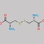 L-Cystine Dimethyl Ester CAS#: 1069-29-0
