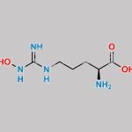 L-Hydroxyarginine CAS#: 53054-07-2