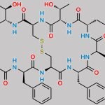 L-Lactolactoyl-Phe-Octreotide CAS#: N/A