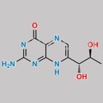 L- Primapterin CAS#: 2636-52-4