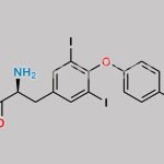 L-Tyrosine,3,5-diiodo-o-(4-Methoxyphenyl) CAS#: 94345-95-6
