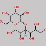 Lactitol Monohydrate CAS#: 81025-04-9