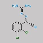Lamotrigine EP Impurity B CAS#: 94213-24-8